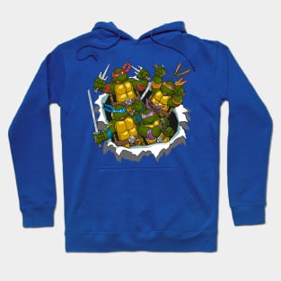 They are the amazing and incredible Teenage Mutant Ninja Turtles Hoodie